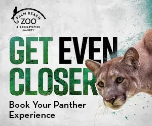 24-pbzm-00704-zmg-panther-axp-digital-ads-300x250-p2-copywebp